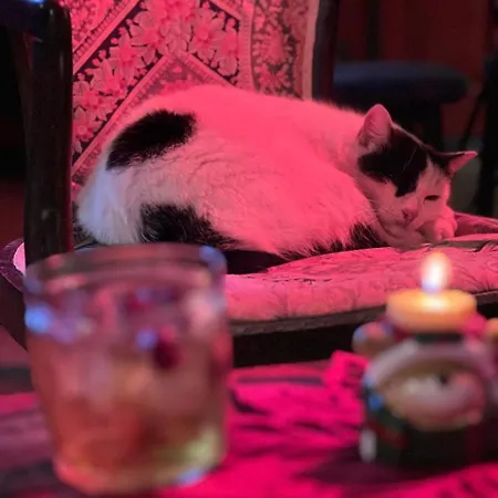 Hotel Arcadia Garden *