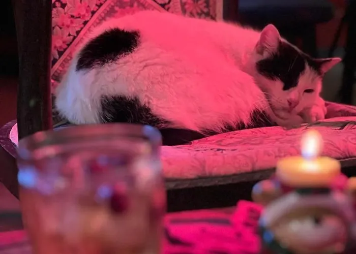 酒店 Arcadia Garden *